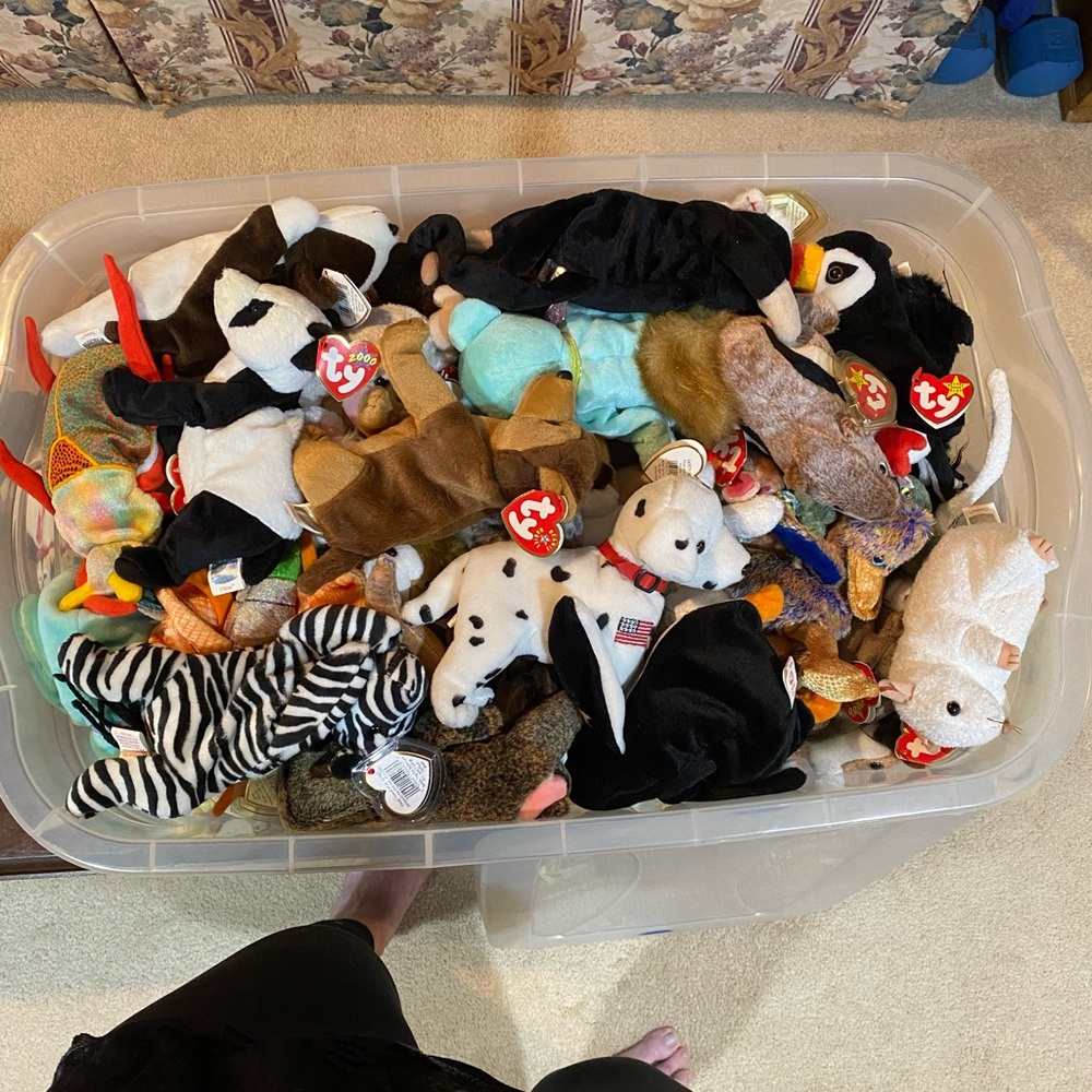 Ty Multicolor Stuffed Animal Collection - Picture 3 of 9